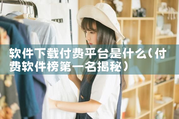 软件下载付费平台是什么