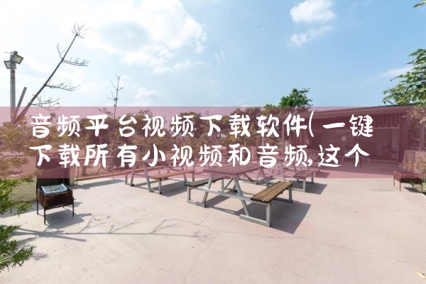 音频平台视频下载软件