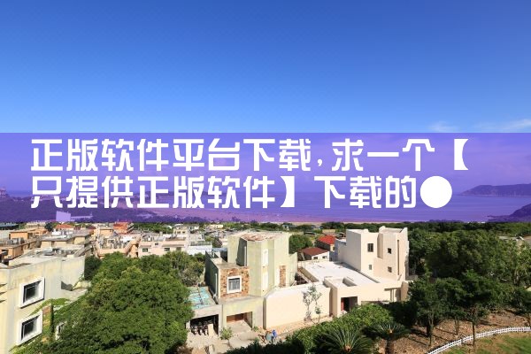 正版软件平台下载