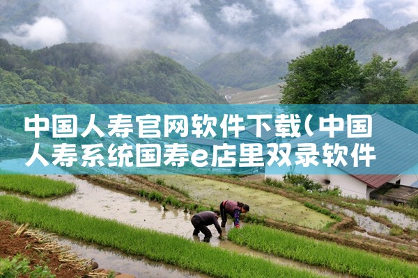 中国人寿官网软件下载