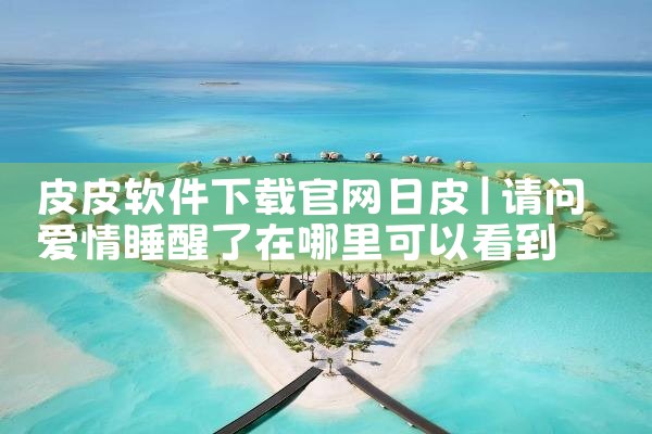 皮皮软件下载官网日皮